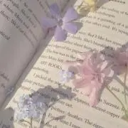 Aikaの画像