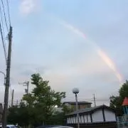 となりのぴょんの画像