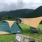 しらいんじゃーの画像