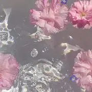 mimimiの画像