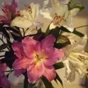 チャオパート2