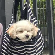 ルイくん寝んね♪の画像