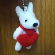 まちこの画像
