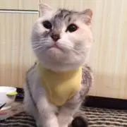 宮祥
