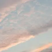 LRの画像