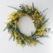 Mossの画像