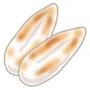 シルフの画像