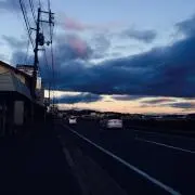 新ちゃんの画像
