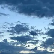 Mの画像