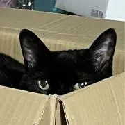 かつくらの画像