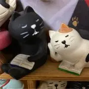 にゃんころもちの画像