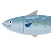 サバミソニーの画像