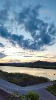 ももの画像