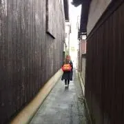 はらちゃんの画像