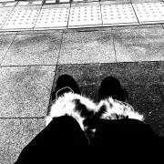keesui
