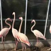 やーてつ
