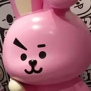 風花の画像