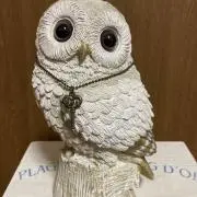 フクロウの画像