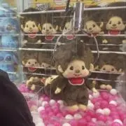 もんちっちの画像