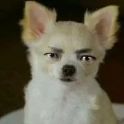エリー  評価350セール中♪