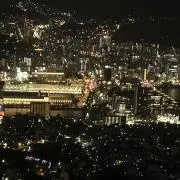 たかれいの画像