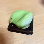 みみの画像