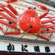 かにかにきゃっちの画像