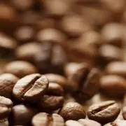 茶豆