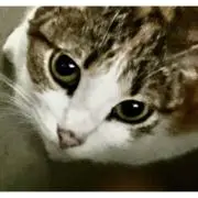 M.comの画像