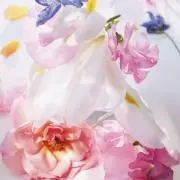 花音の画像