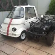 Toy