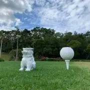 てびちの画像