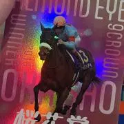 明星スバル とるパカ vol2 Aver 14点 明星スバル とるパカ vol2 Aver 14点 - メルカリ