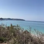 かいと