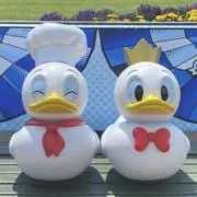 ayaの画像