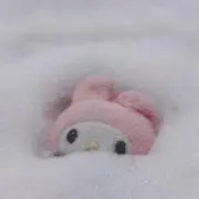 nam