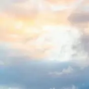 ちーこ