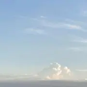 おちゃ【即購入◎】の画像