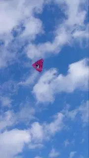 スカイウォーカーの画像