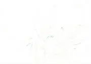 わこ。の画像