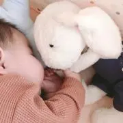 ＊ ささのすけ ＊ PF必読の画像