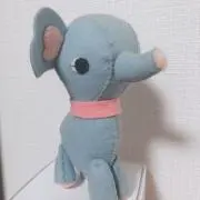 こっとんの画像