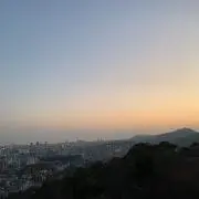 しろの画像