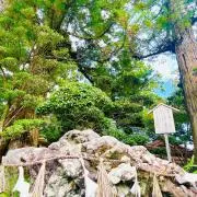 柚子茶大好き プロフお読み下さい！