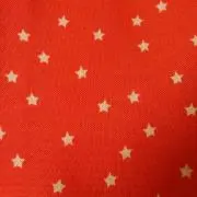 かにゃの画像