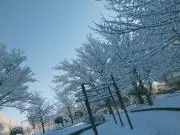 るーの画像