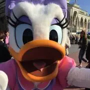 デイジーの画像
