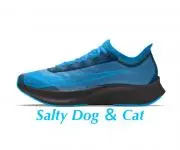 SaltyDog&Cat