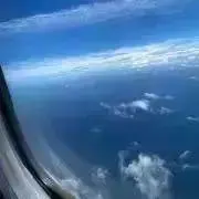 あの画像