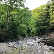 seijon